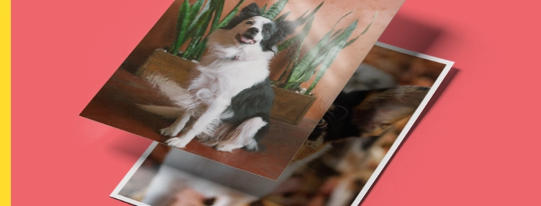 Klassinen valokuvien kehitys